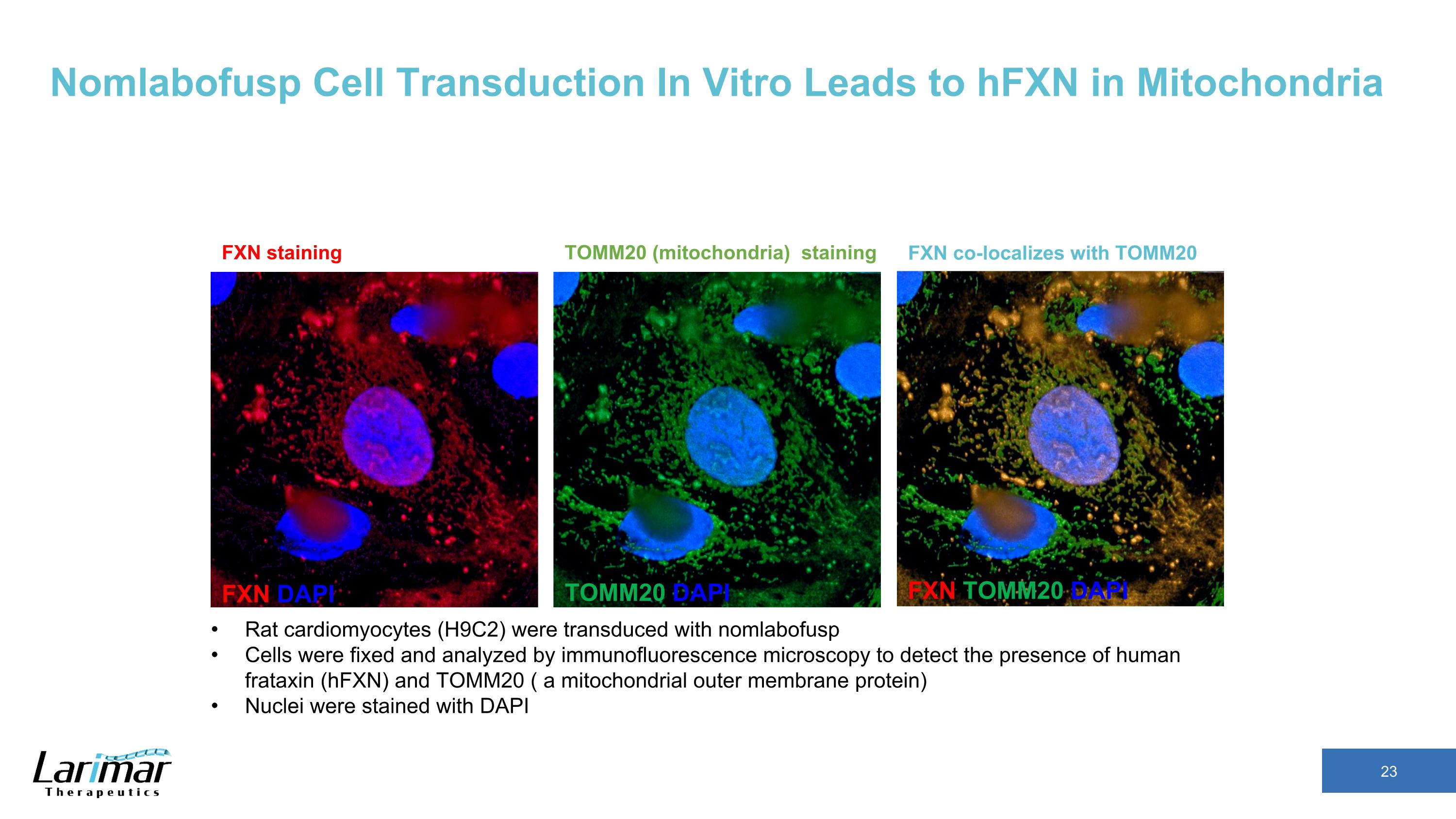 Slide 23 Slide 23