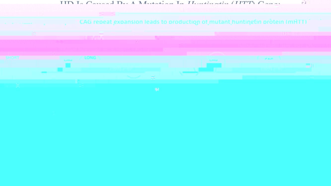 GRAPHIC